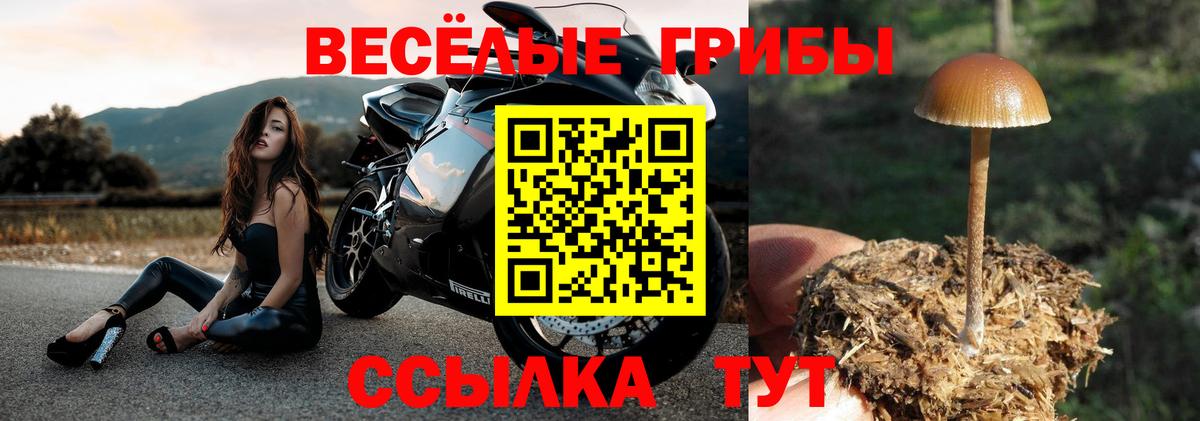 Кушва  Псилоцибиновые грибы мухоморы  Вход с VPN 
