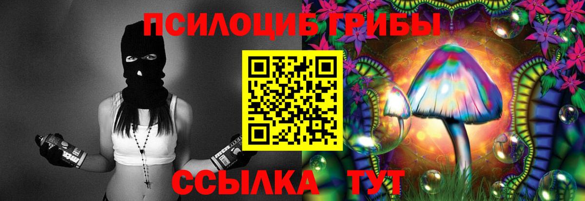 Псилоцибиновые грибы Psilocybe Кушва